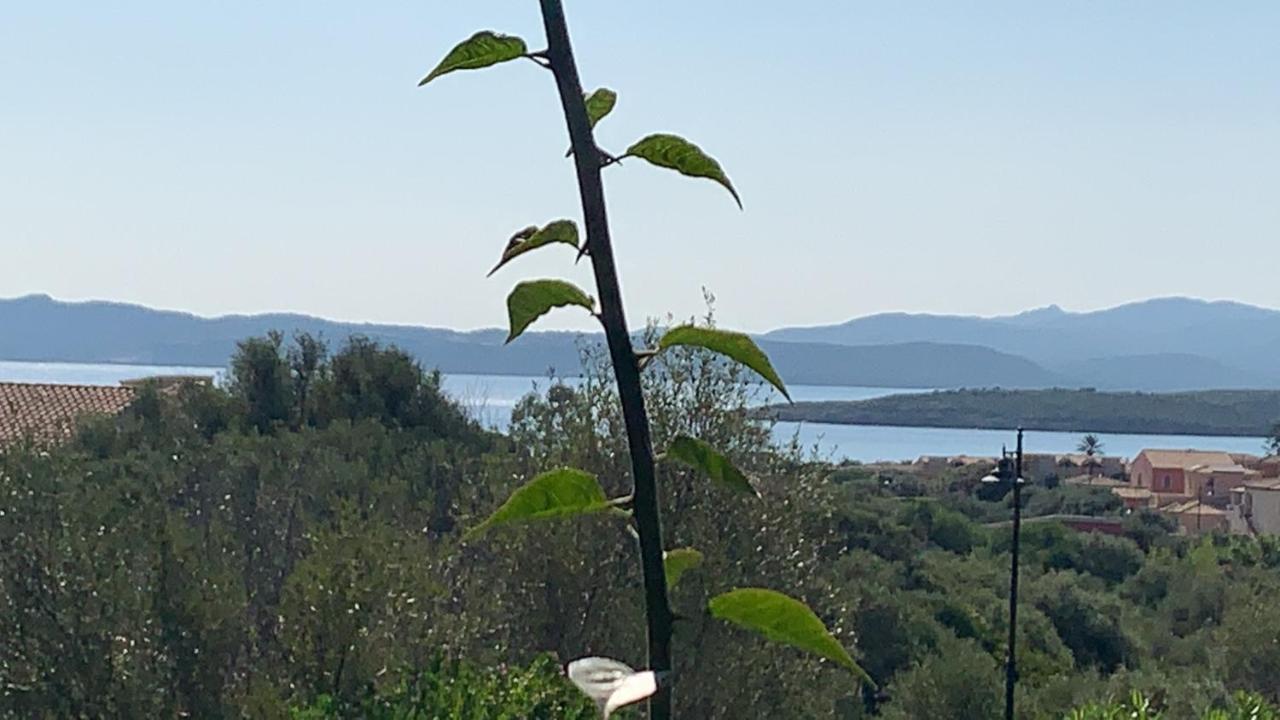 Casa Adelaide, Oasi Di Pace Con Vista Mare Villa Olbia Exterior photo